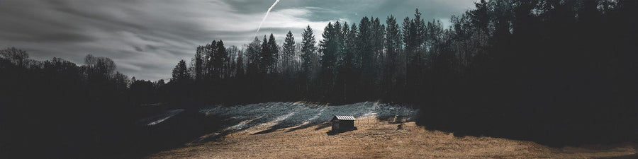 Small cabin in an open field near a dark forest under a cloudy sky, panoramic landscape